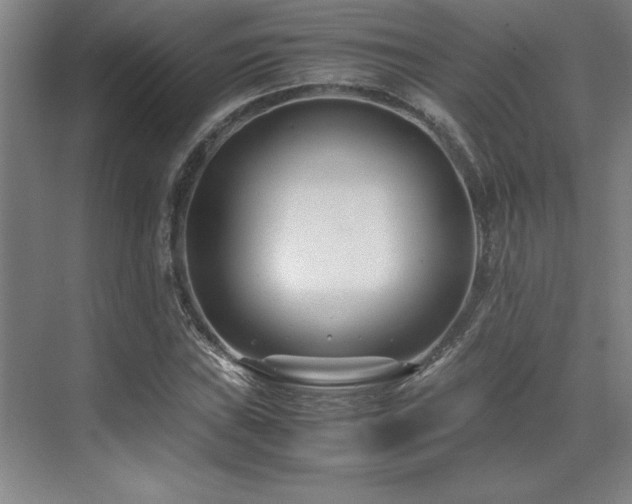 X0000071951019200607071204