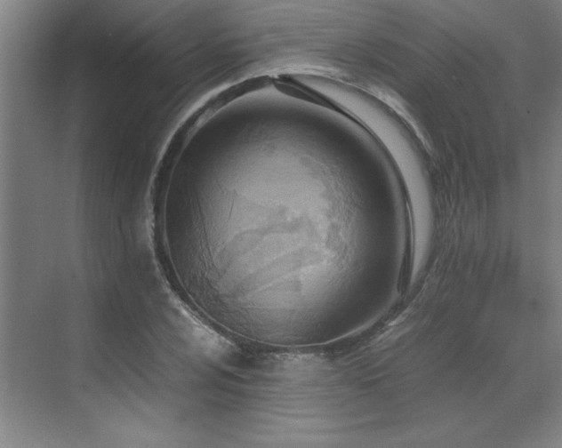 X0000071951024200607071204