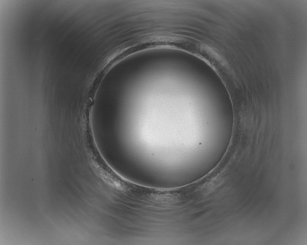 X0000071951025200607071204