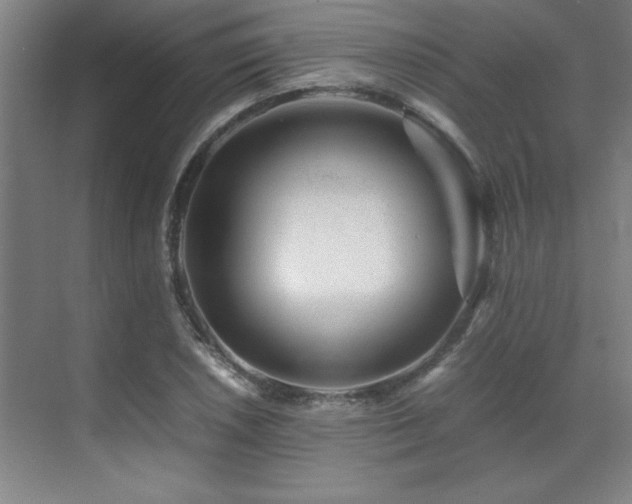 X0000071951026200607071204