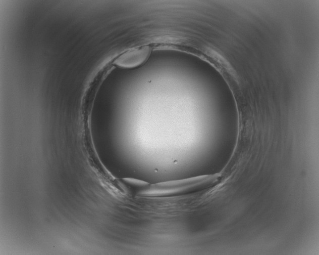 X0000071951027200607071204