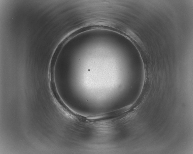 X0000071951028200607071204