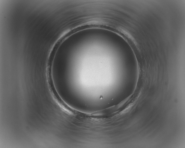 X0000071951029200607071204