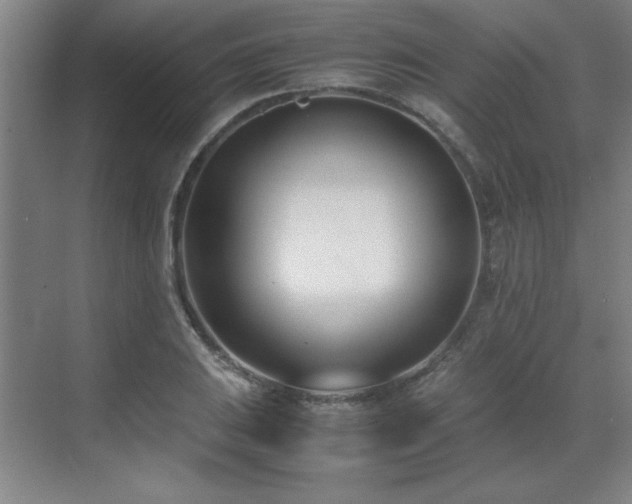 X0000071951031200607071205