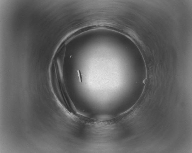 X0000071951032200607071205