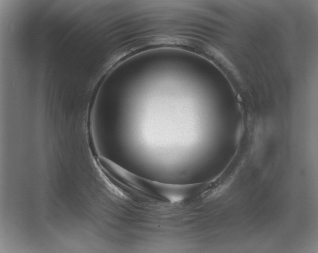 X0000071951033200607071205