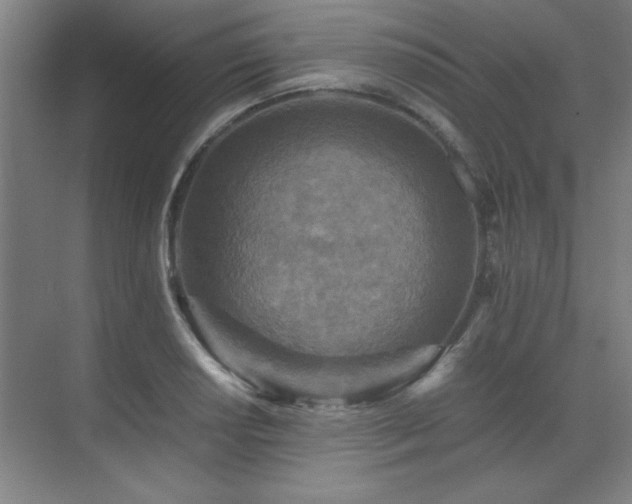 X0000071951034200607071205