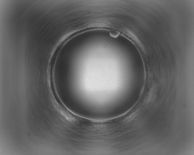 X0000071951035200607071205