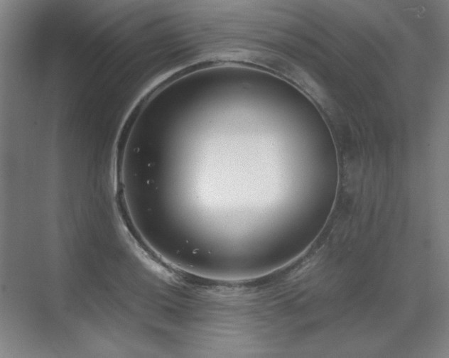 X0000071951036200607071205