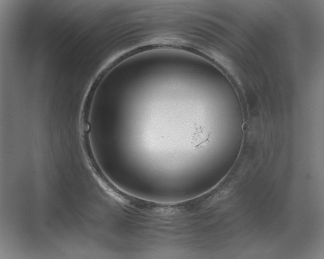 X0000071951037200607071205