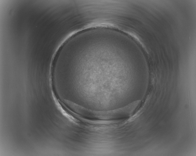 X0000071951038200607071205