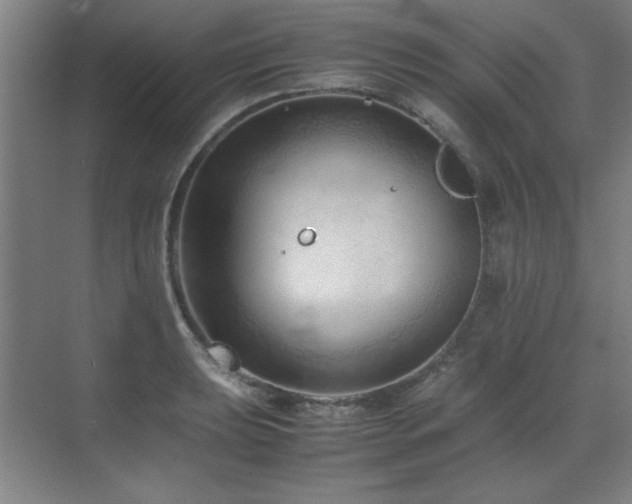 X0000071951039200607071205