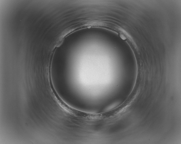 X0000071951041200607071205