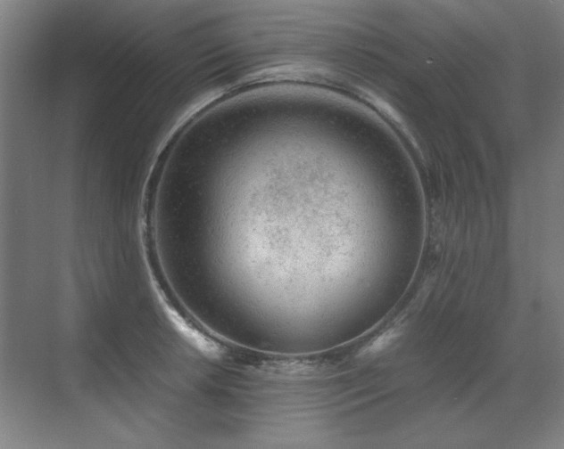 X0000071951042200607071205