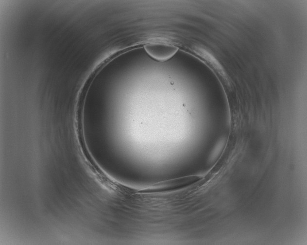 X0000071951043200607071205