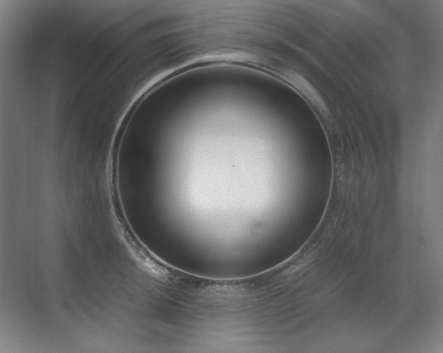 X0000071951044200607071205