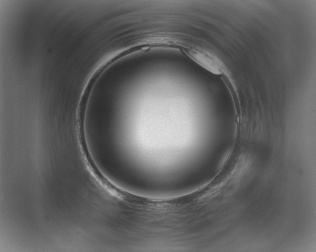 X0000071951045200607071205