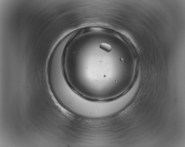 X0000071951046200607071205