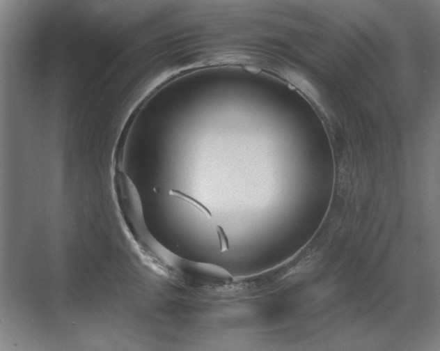 X0000071951047200607071205