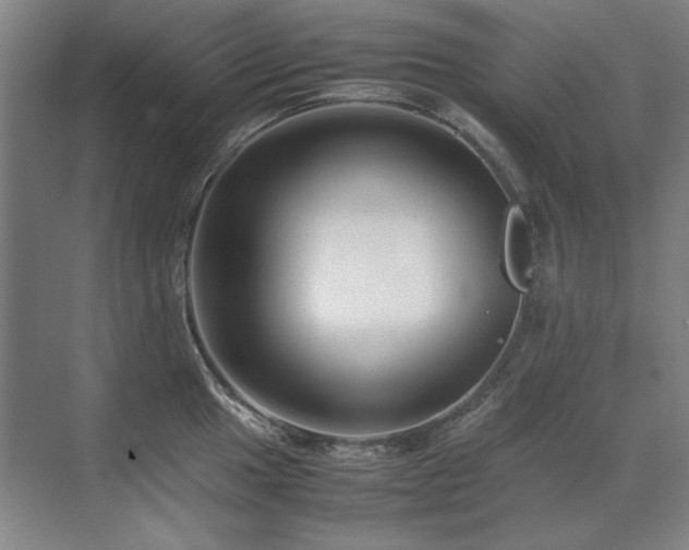 X0000071951049200607071205