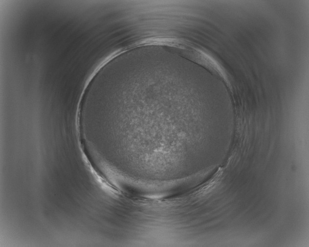 X0000071951050200607071205