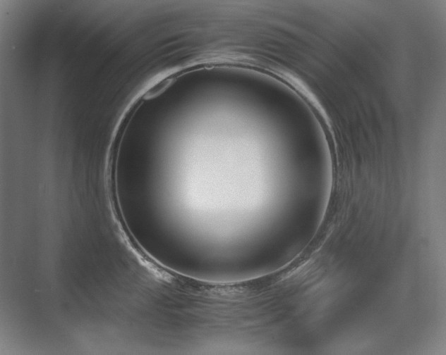 X0000071951053200607071205