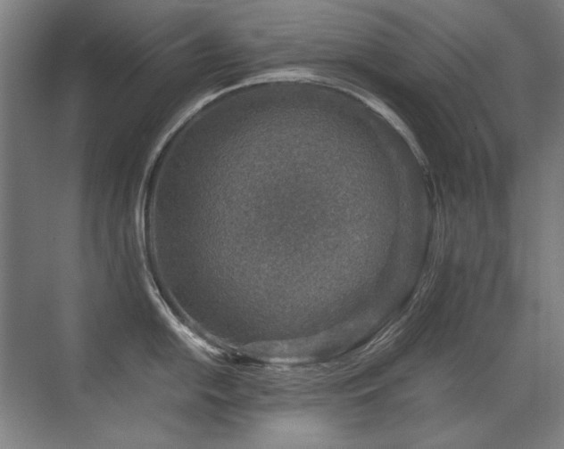 X0000071951054200607071205