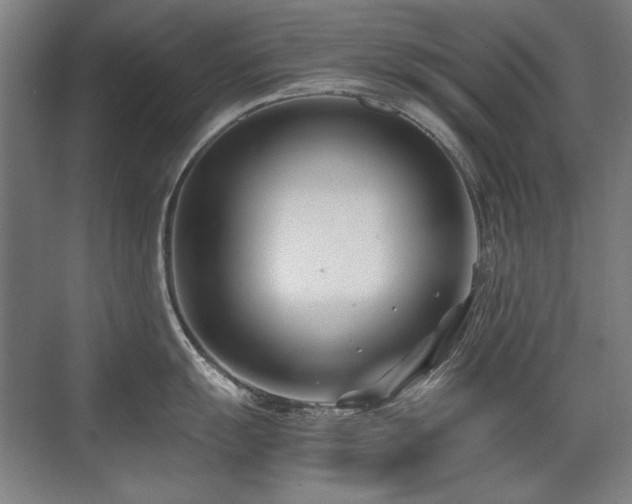 X0000071951055200607071205