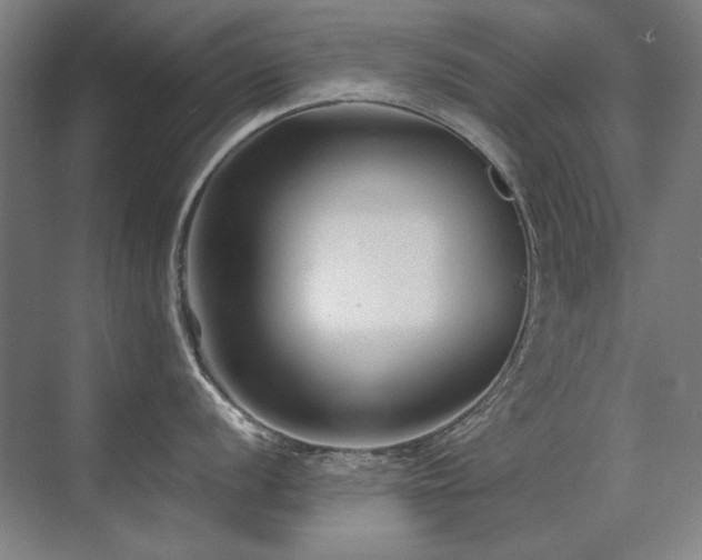 X0000071951056200607071205