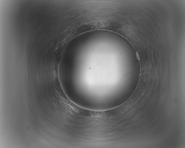 X0000071951058200607071204