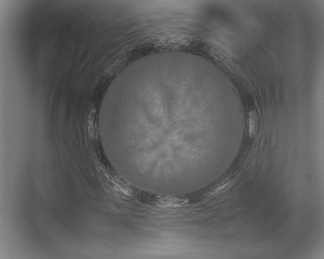 X0000071951059200607071204