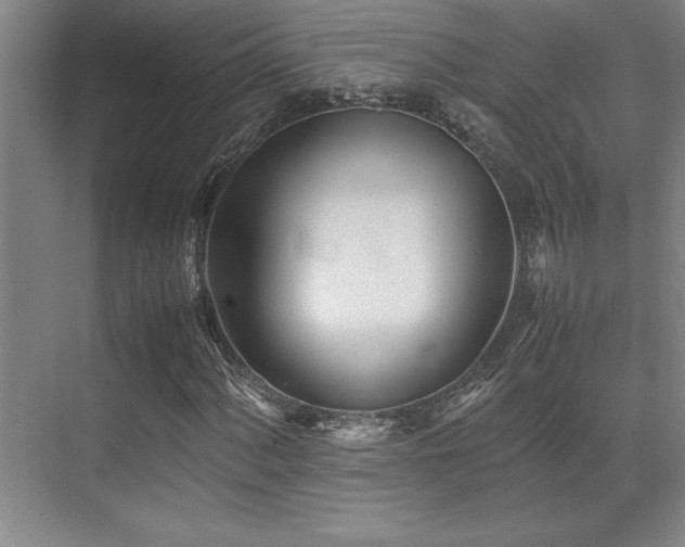 X0000071951060200607071204