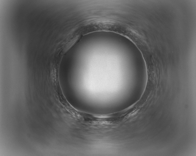 X0000071951061200607071204