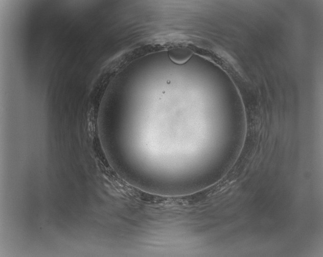 X0000071951063200607071204