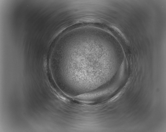 X0000071951065200607071204