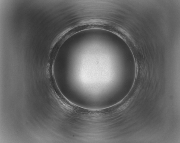 X0000071951066200607071204