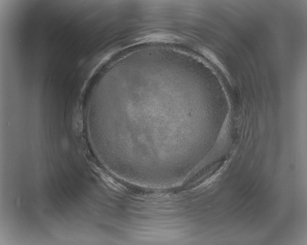 X0000071951067200607071204