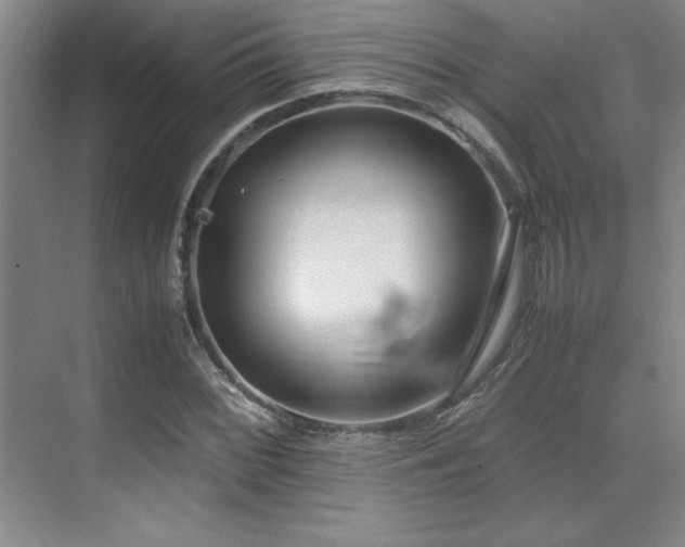 X0000071951068200607071204