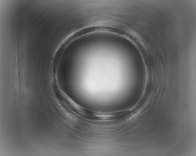 X0000071951069200607071204