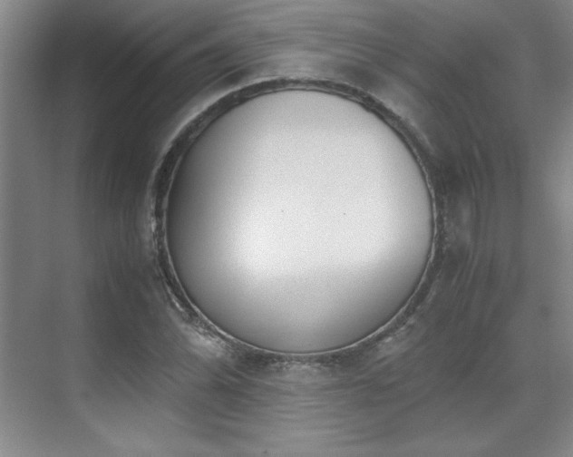 X0000071951070200607071204