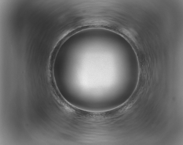 X0000071951071200607071204