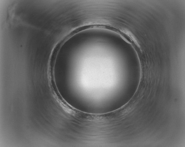 X0000071951072200607071204