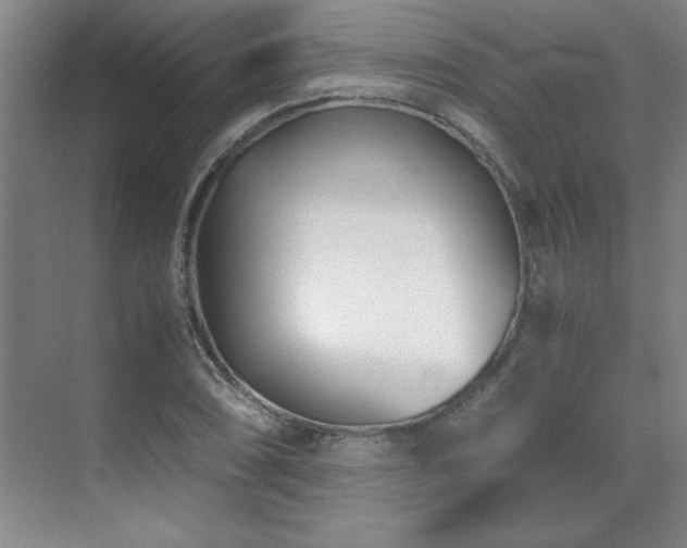 X0000071951074200607071204