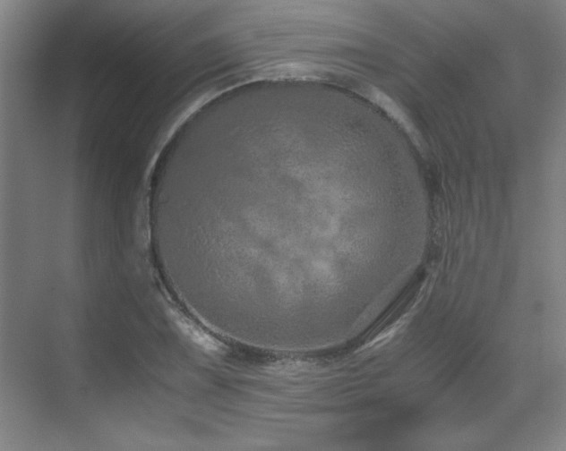 X0000071951075200607071204