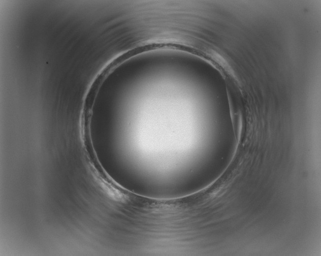 X0000071951076200607071204