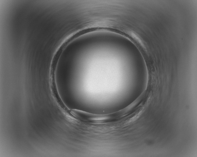 X0000071951077200607071204