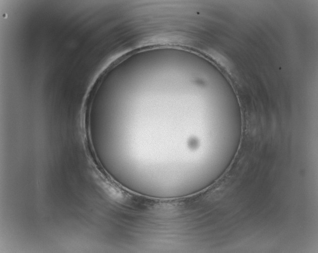 X0000071951078200607071204