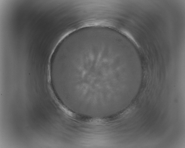 X0000071951079200607071204