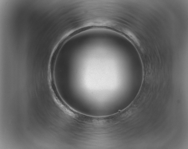 X0000071951080200607071204