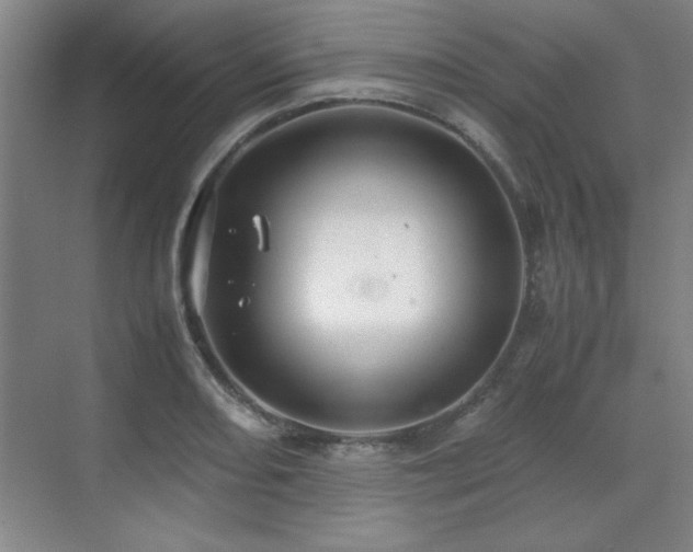 X0000071951082200607071204